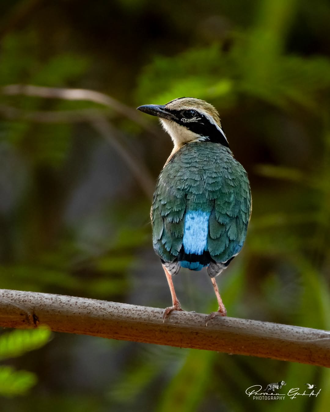 Surajpur Photowalk B2