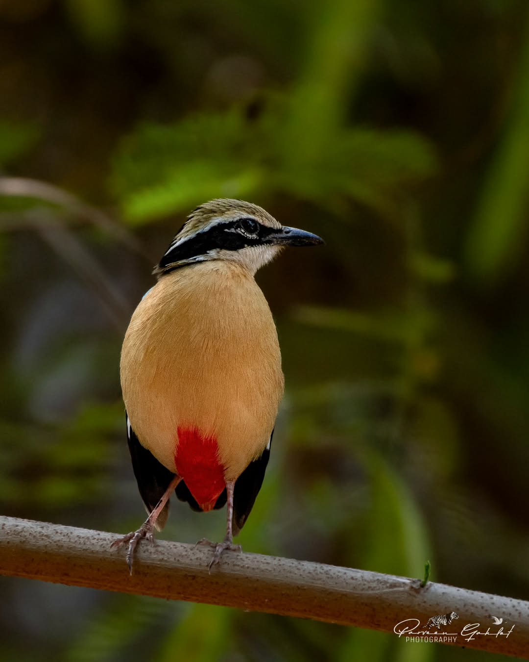 Surajpur Photowalk B3