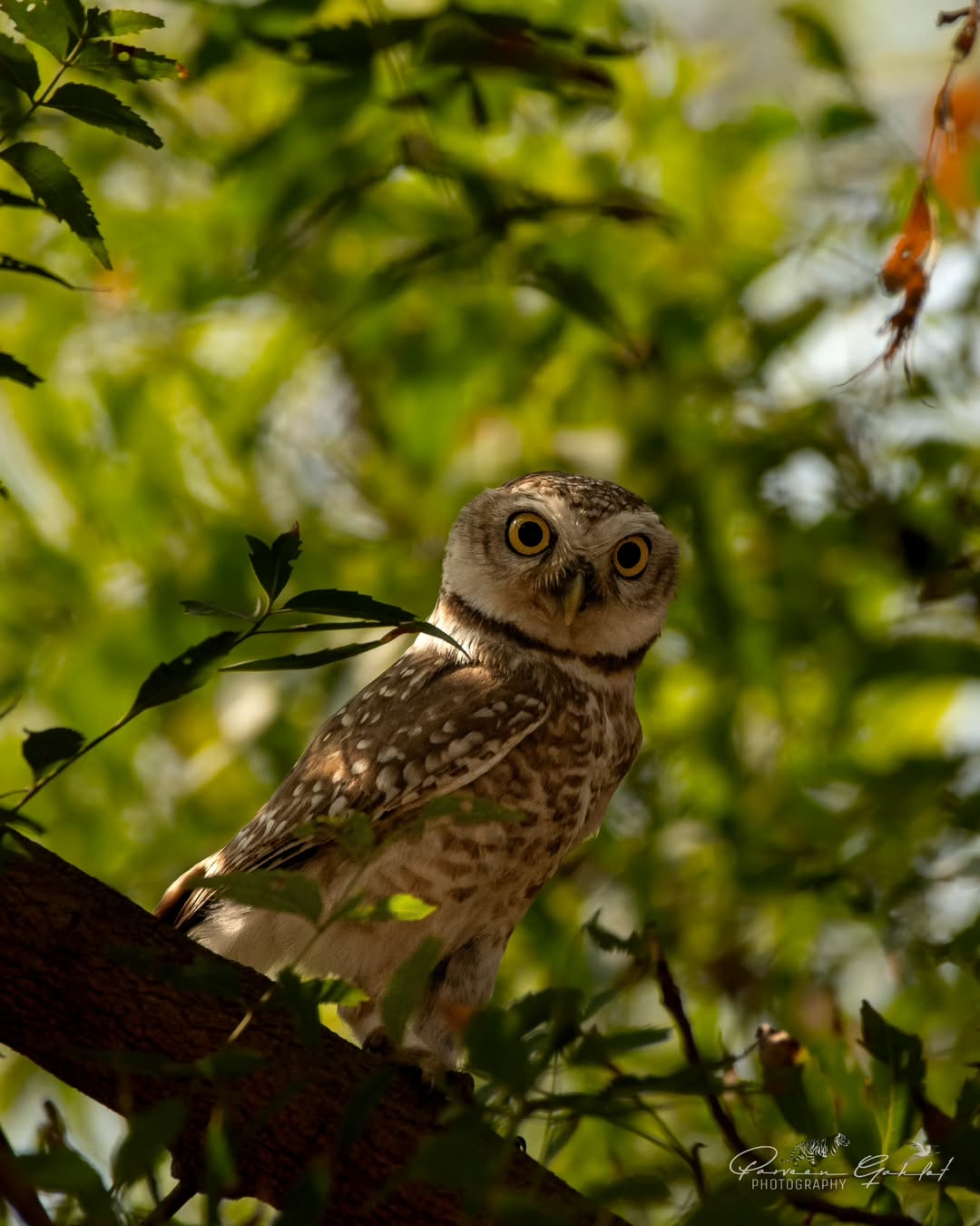 Surajpur Photowalk B4