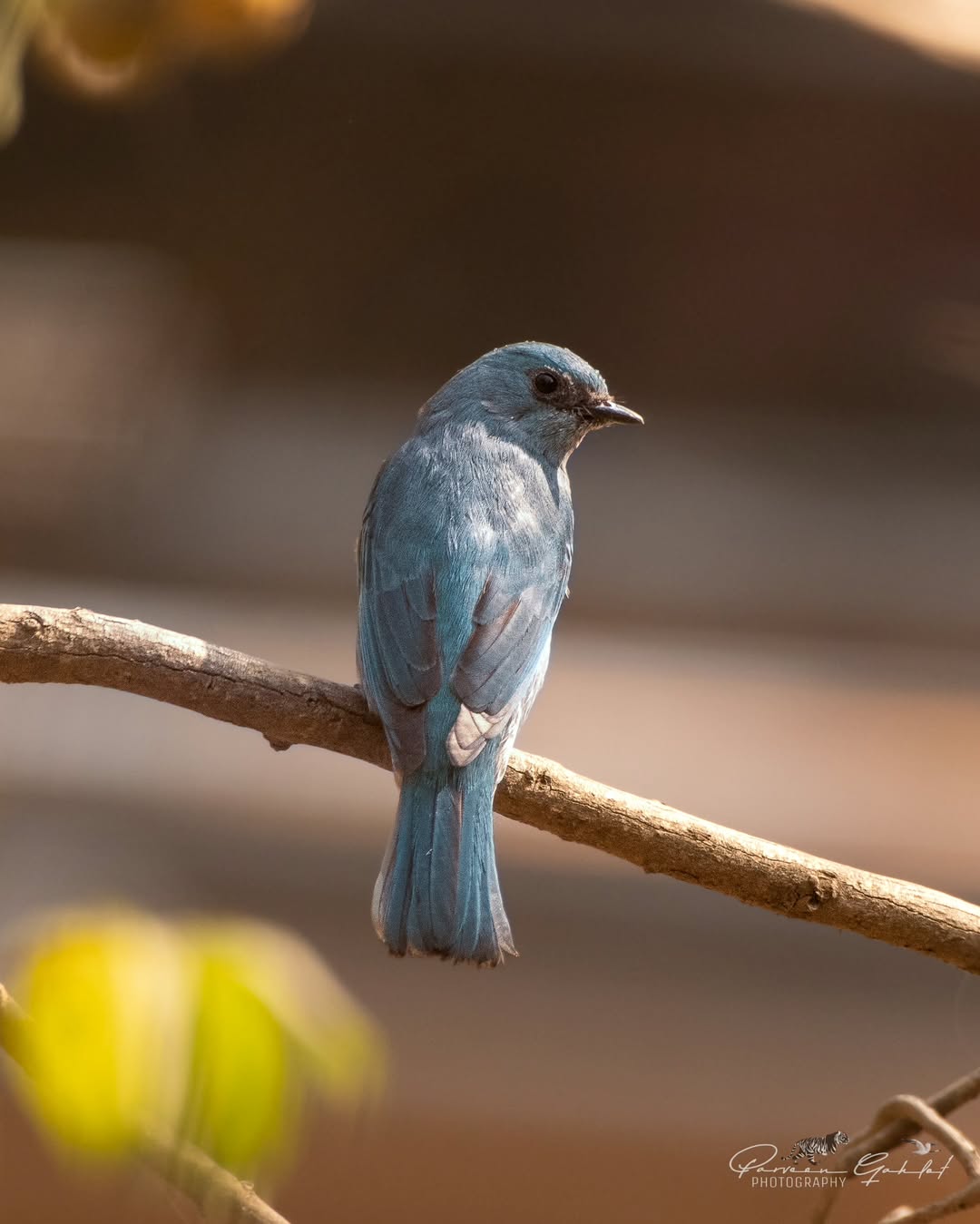 Surajpur Photowalk B5