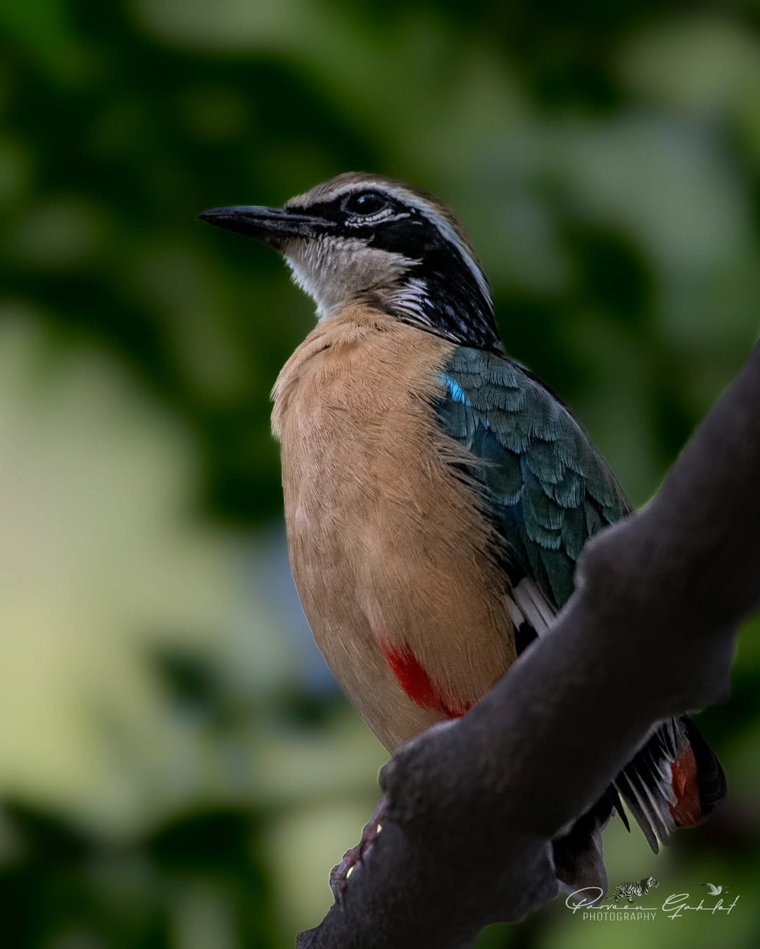 Surajpur Photowalk B7