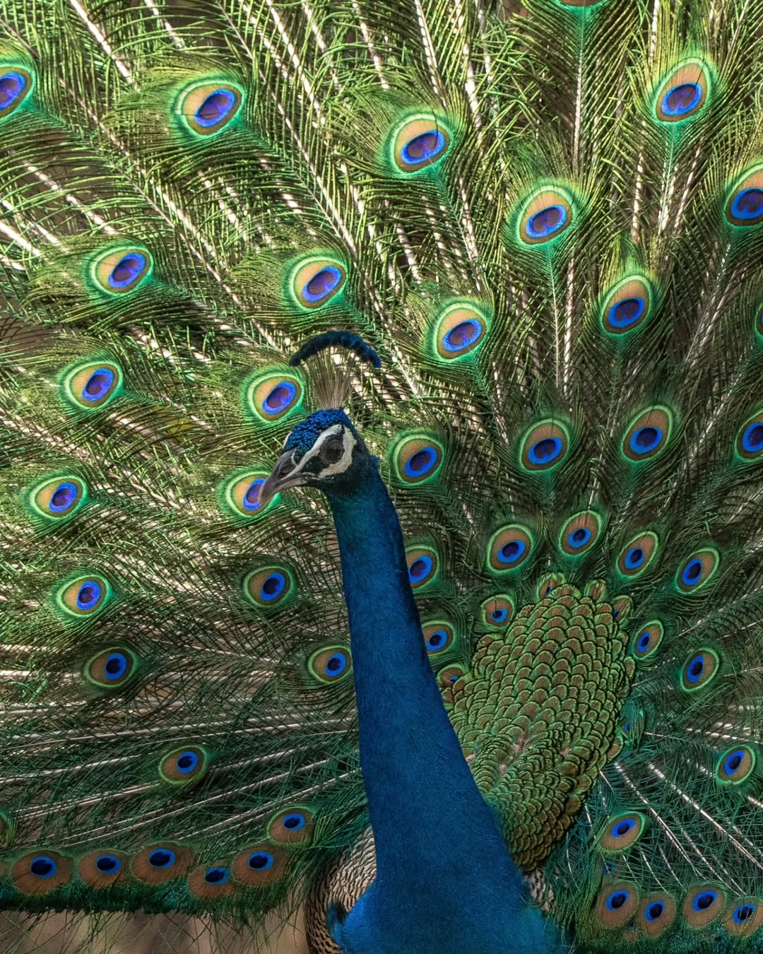 Surajpur Photowalk B8