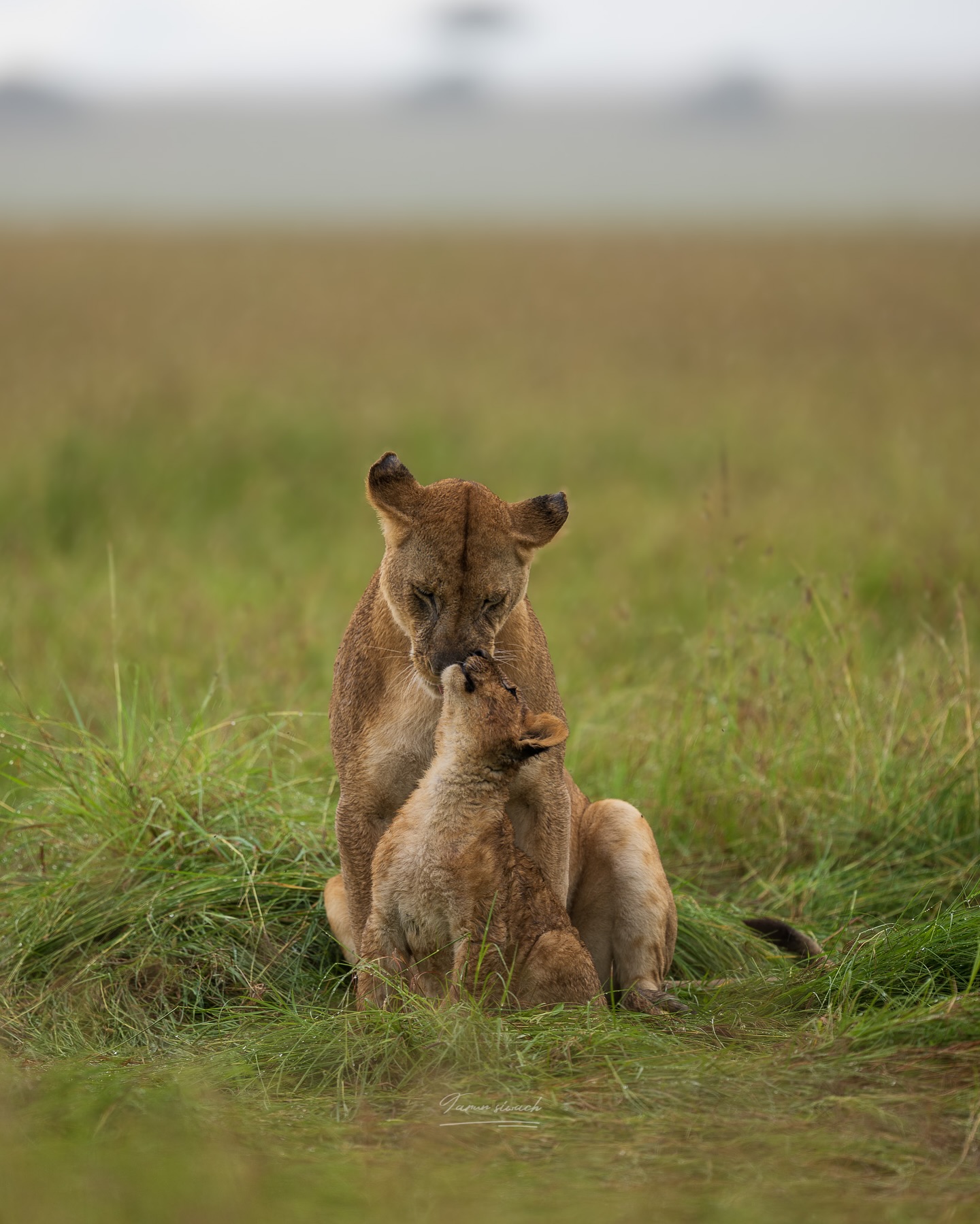 taabir_by_tarun_1755599263_3702557441939433794_8047215790