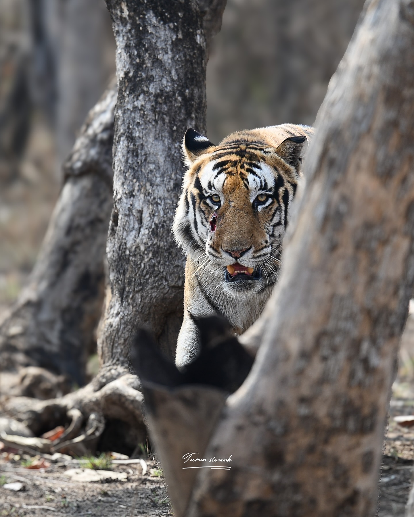 taabir_by_tarun_1761308827_3750452729488857922_8047215790