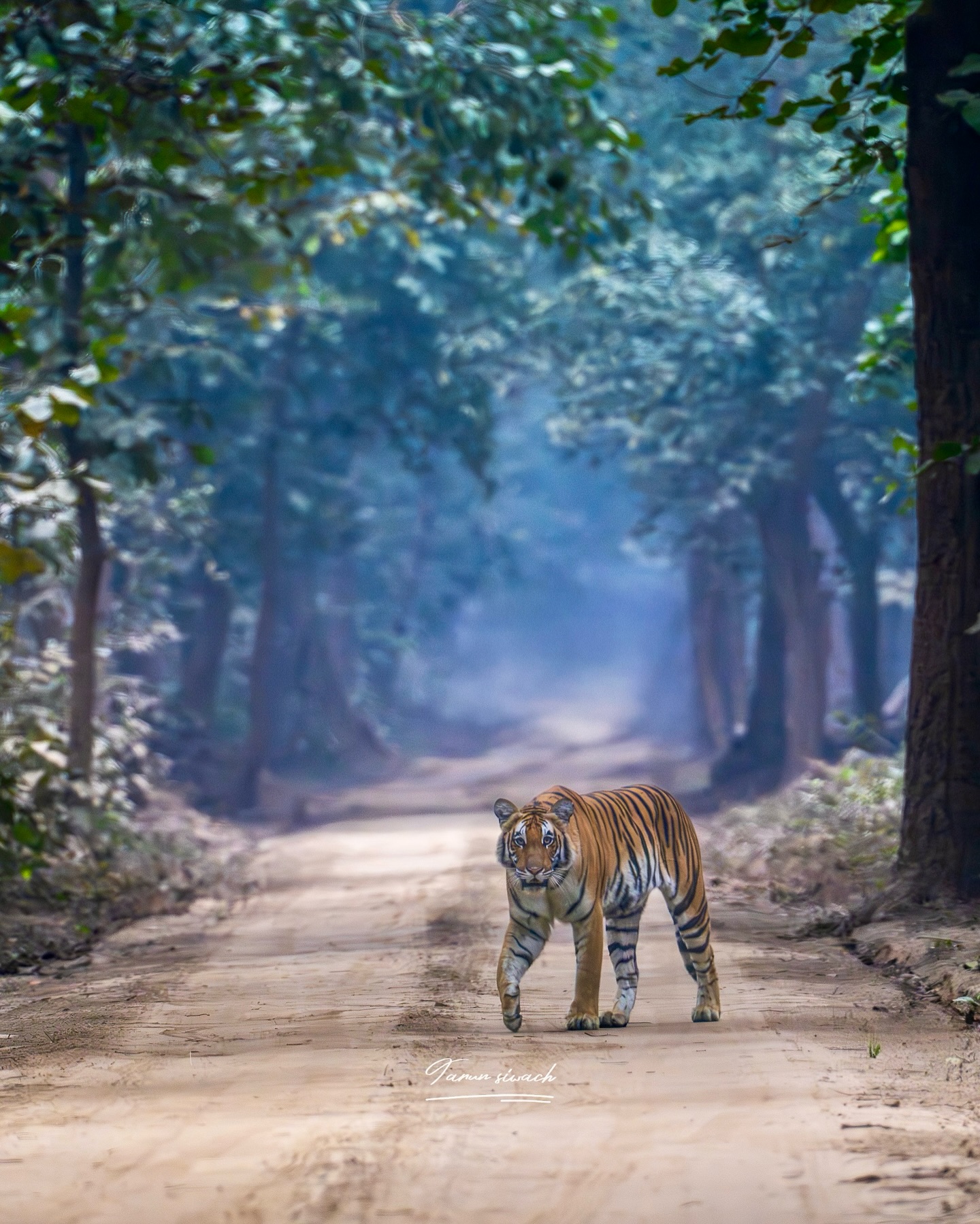 taabir_by_tarun_1766751796_3796111668523781684_8047215790