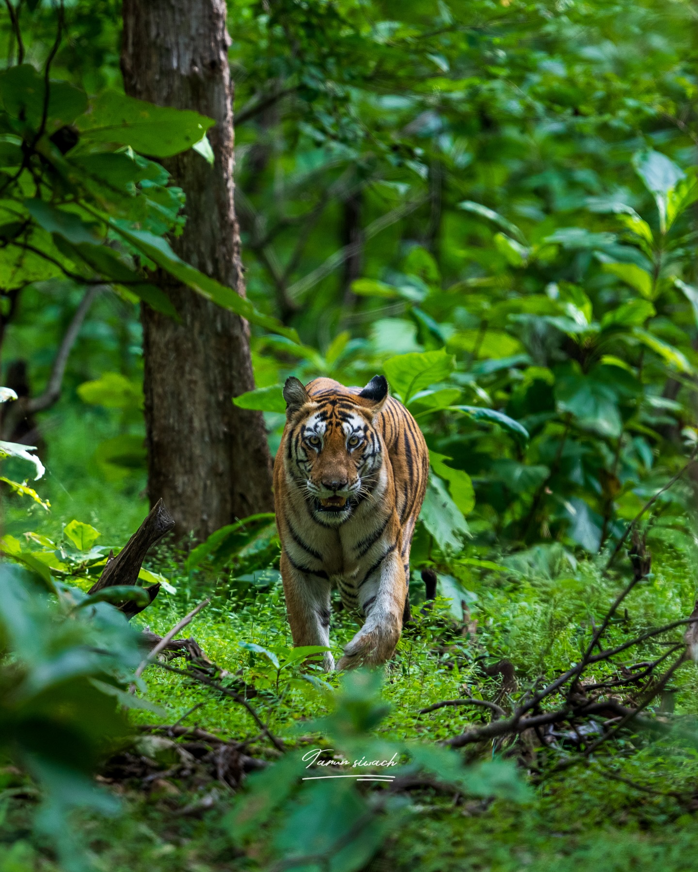 taabir_by_tarun_1767873594_3805521988199590507_8047215790